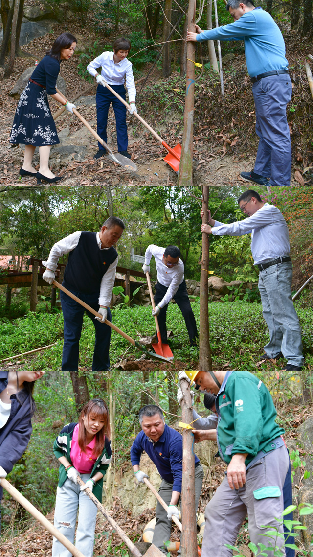 图片12.jpg 图片12.jpg